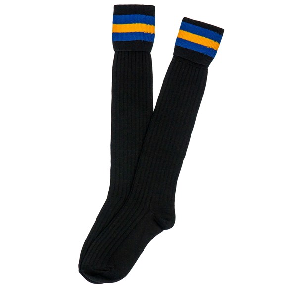 Socks ARS305-GIS